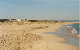 Playa Llevante Formentera